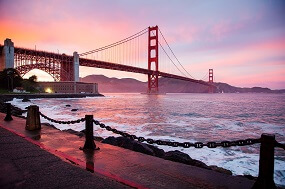 Telerik UI for ASP.NET MVC Cards San Francisco