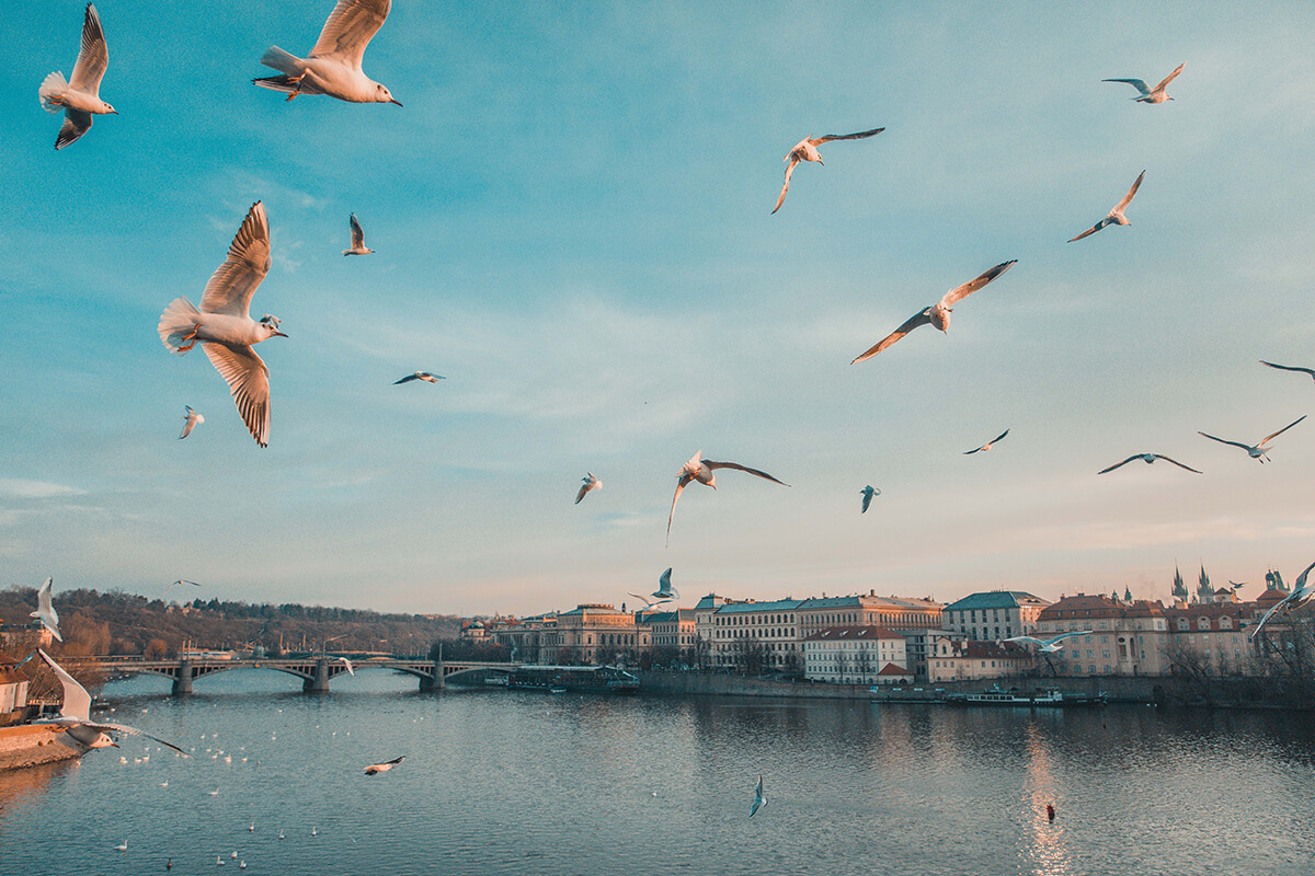 Telerik UI for ASP.NET MVC SkeletonContainer Prague