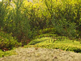 Telerik UI for ASP.NET MVC Sortable forest